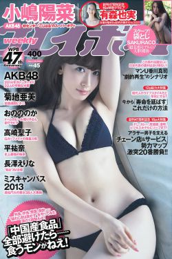 高压监狱美版